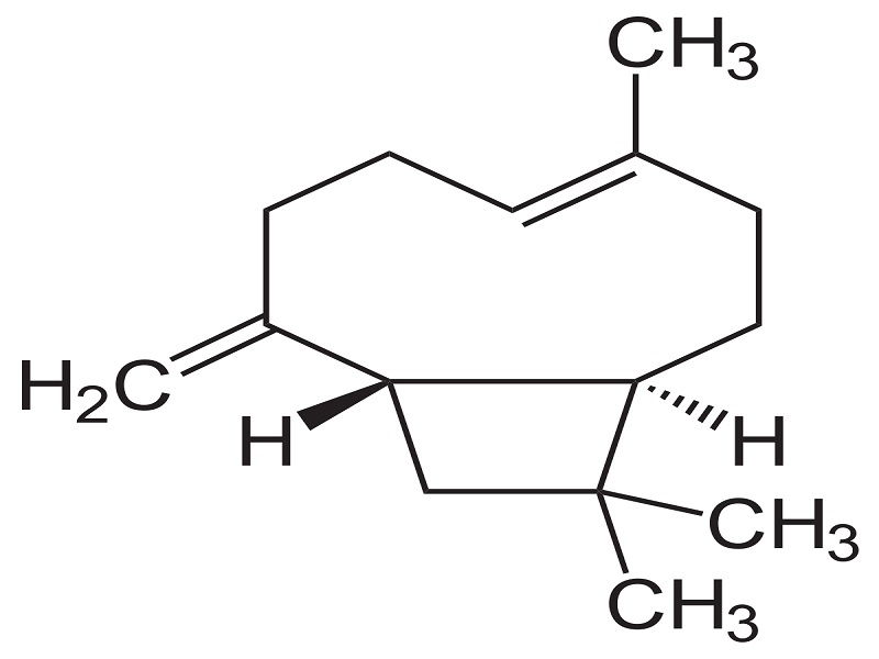Beta Caryophyllene 90% (ex-Piper Nigrum)